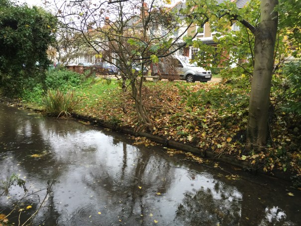 BeddingtonTourNovember2015_IMG_4329_Sutton_BeddingtonNorth_BridgesLane_WandleBank