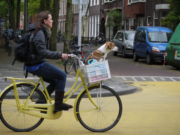 StrategyPublishedPromotionAwaited_P1140693