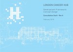 Sutton2031_Draft London Cancer Hub Development Framework_Page01