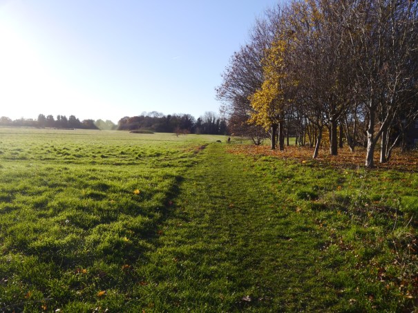 beddingtonsouth_p1270121_30pc